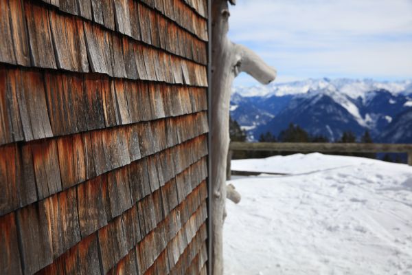 Cedar Siding Repair in Rowlett